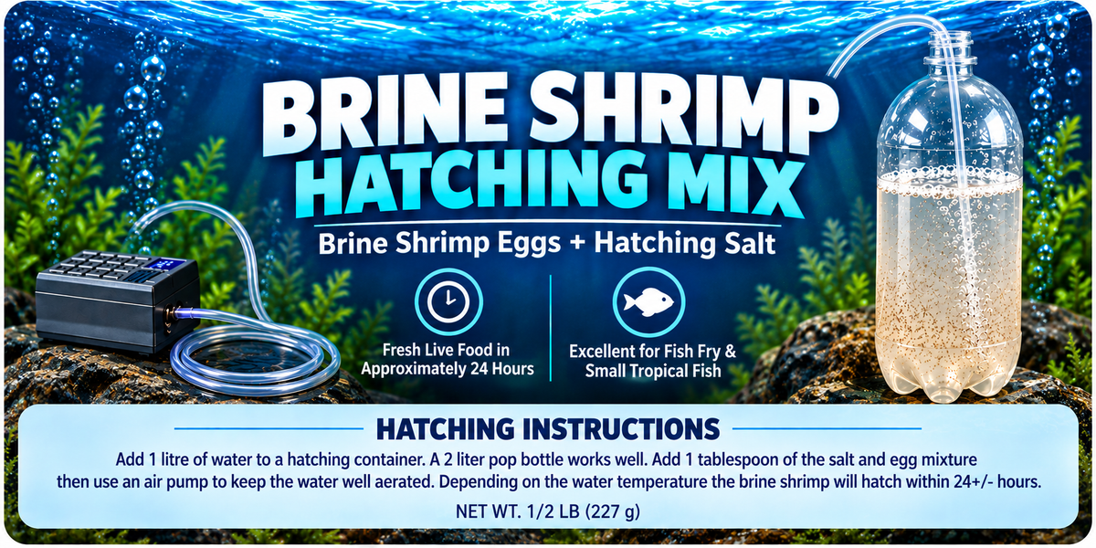 Brine Shrimp Eggs