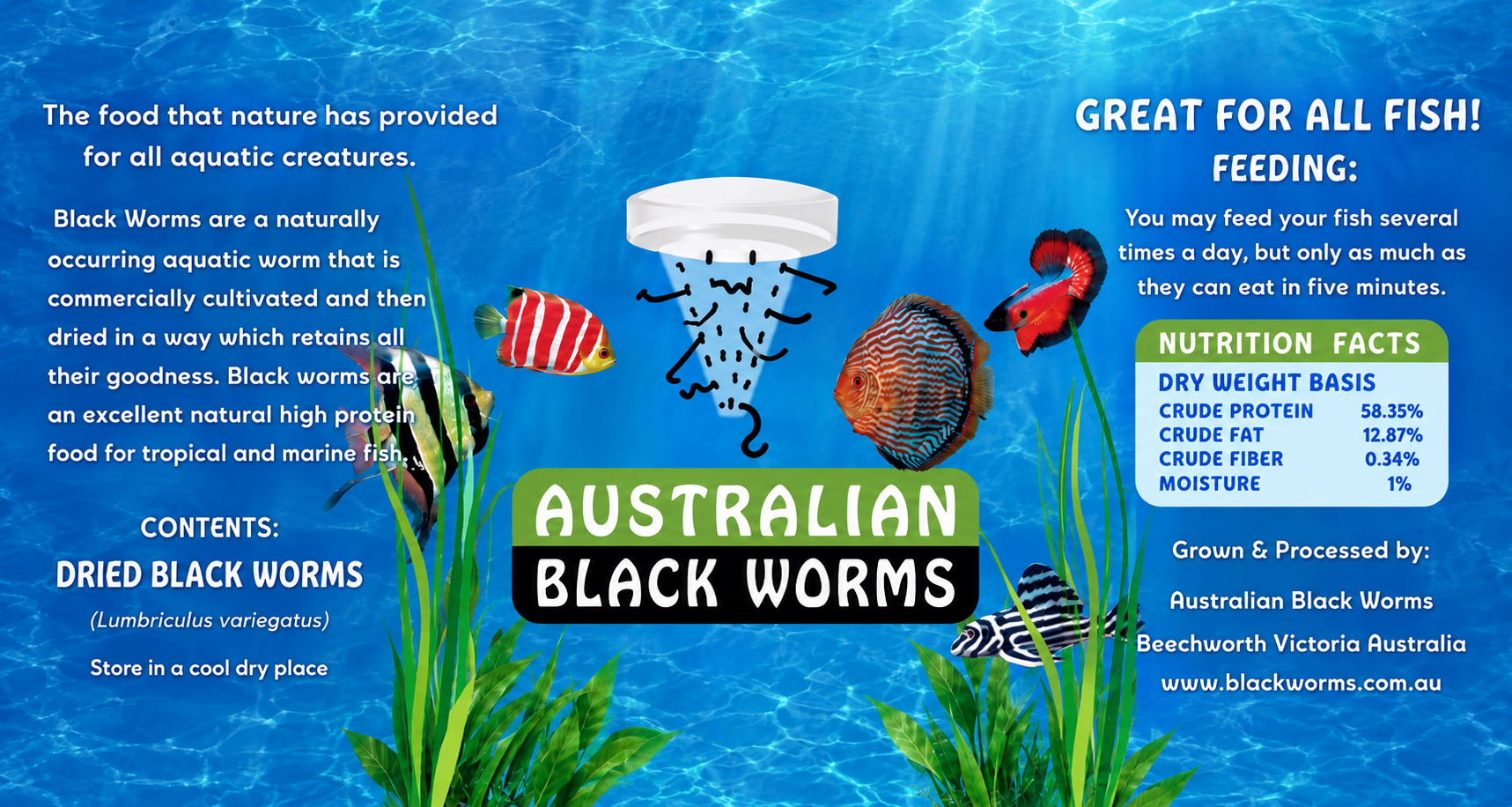 Blackworms