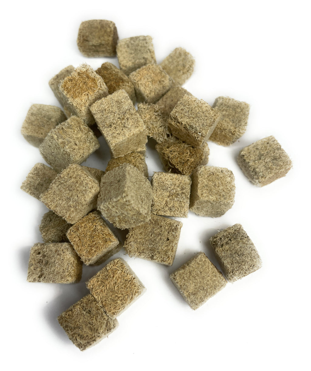 Premium Freeze Dried Tubifex Worm Cubes