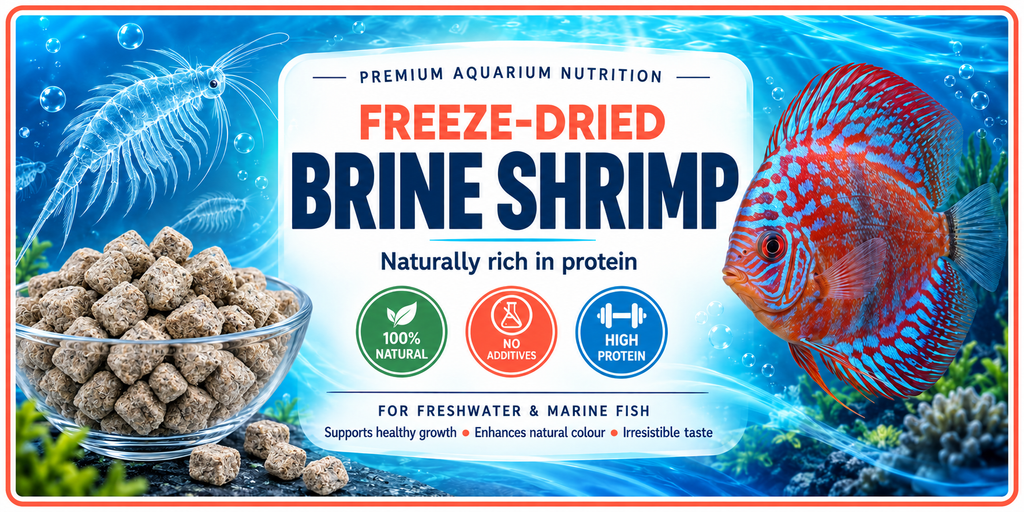 Freeze Dried Brine Shrimp Cubes 200 grams
