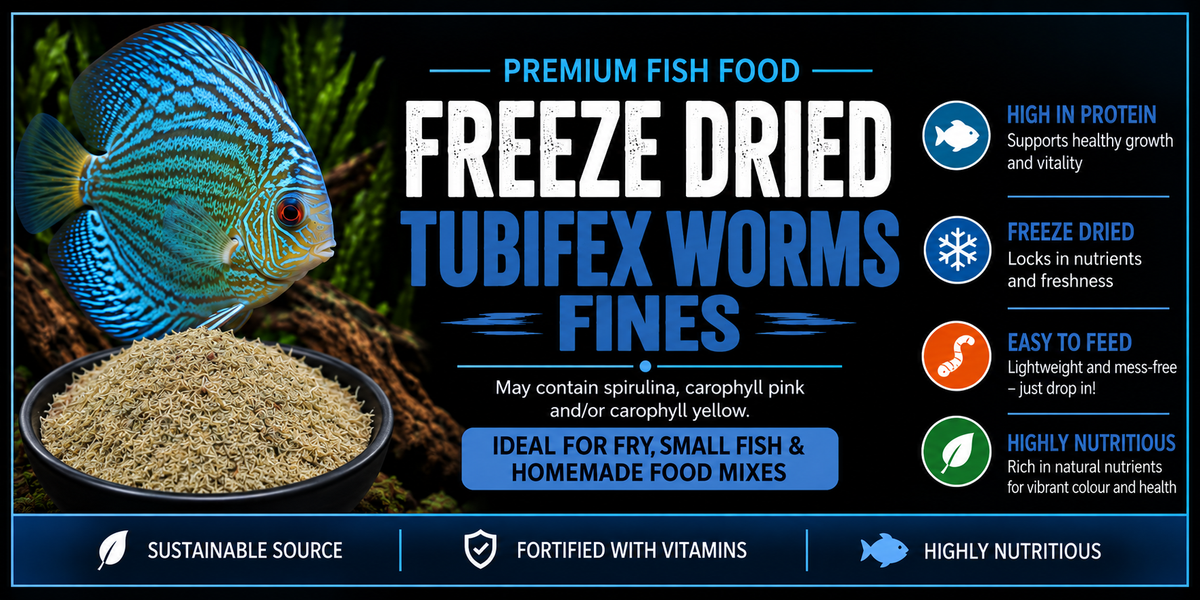 Premium Freeze Dried Tubifex Worm Fines