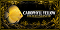 Carophyll Yellow Colour Enhancer 50 grams