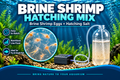 1/2lb Brine Shrimp Eggs & Salt Mix