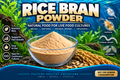Rice Bran