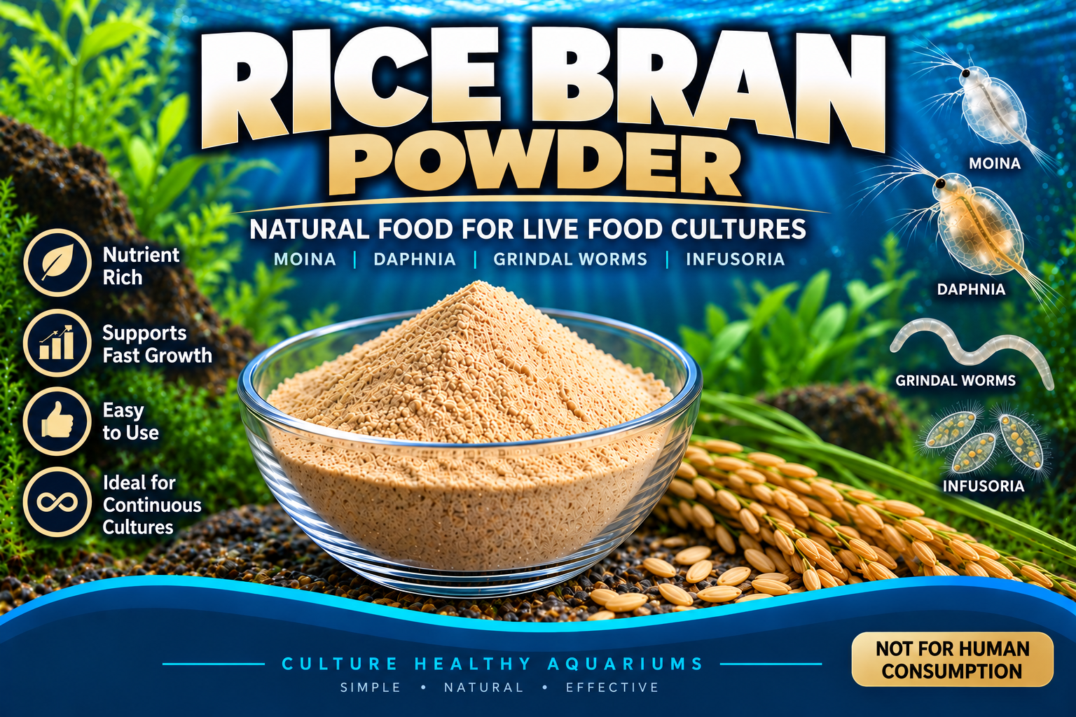 Rice Bran