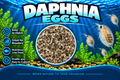 Daphnia Eggs 100+
