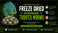Premium Freeze Dried Tubifex Worm Cubes With Microalgae