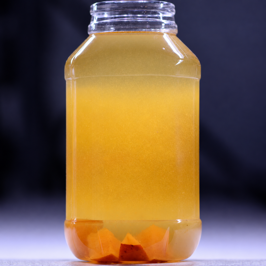 Vinegar Eel Starter Culture