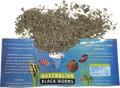 Australian Freeze Dried Blackworm Fines 🪱