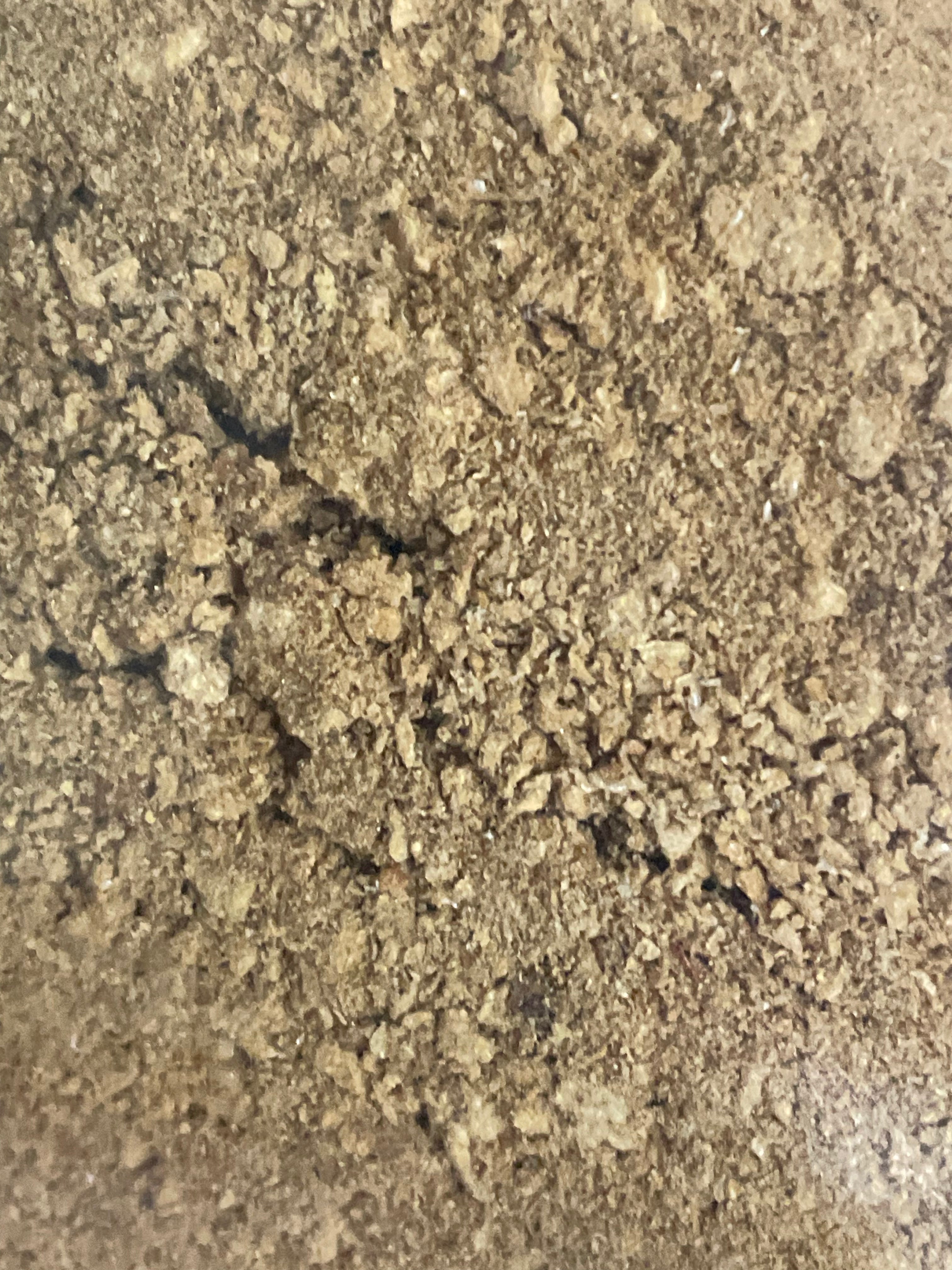 Freeze Dried Brine Shrimp Fines