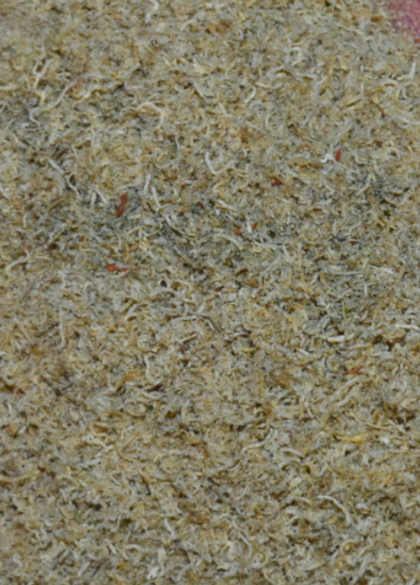 Premium Freeze Dried Tubifex Worm Fines