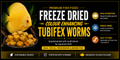Premium Freeze Dried Tubifex Worm Cubes Yellow Colour Enhancing