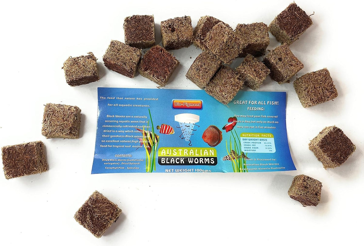Australian Freeze Dried Blackworm Cubes Bio Pigment 🚨
